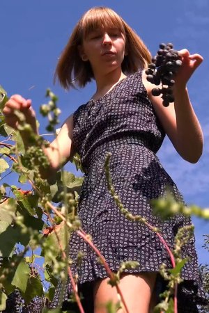 PilgrimGirl Jessy Grape Harvest