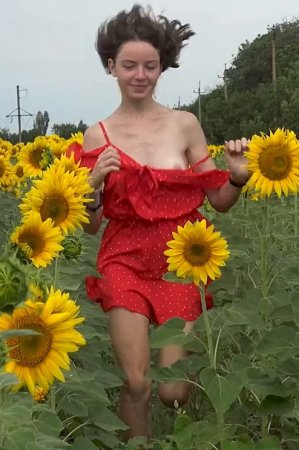 PilgrimGirl Sunflowers video